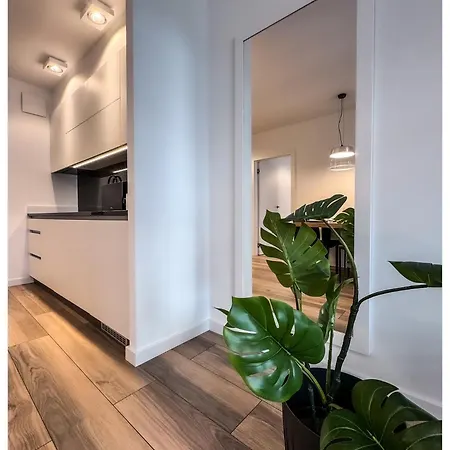 Balticus Playa Margarita Apartment Miedzyzdroje Exterior photo