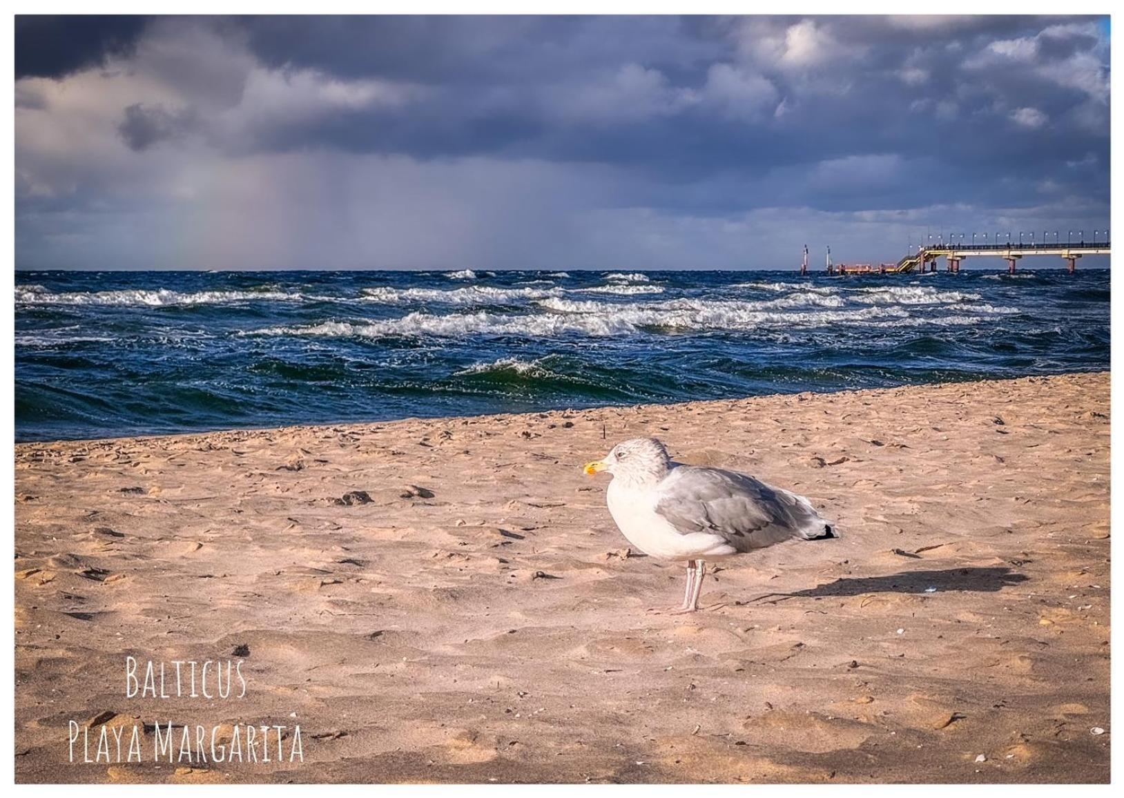 Balticus Playa Margarita